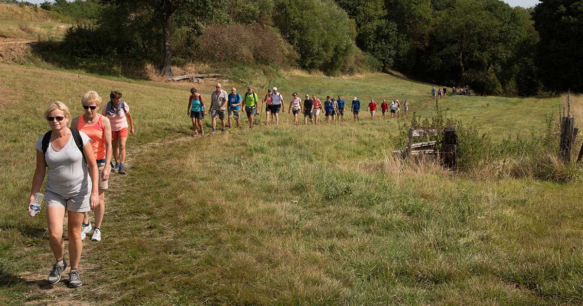 Heuvelland Vierdaagse Carré Hotel ZuidLimburg
